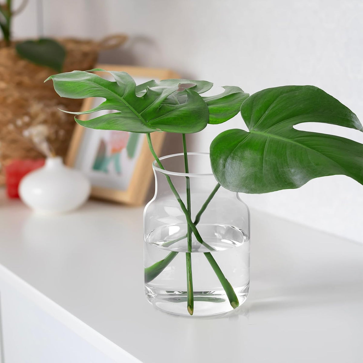 Clear Glass Vase, Large Flower Vase, 8-inch Glass Flower Vase for Plants, Wide Mouth Vase for Home, Wedding, Living Room, Dining Table